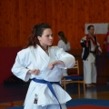 img-2015-0029.JPG