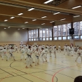 20150329_113449.jpg