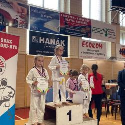 IMG_3-kolo-GojuRyu_4