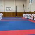 IMG_2481
