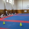IMG_2511