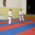 Bronislav Puzrla, Jaromír Musil