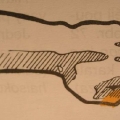 OJAJUBI
