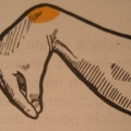 KAKUTO