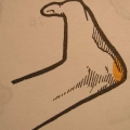 KAKATO